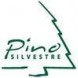 Pino Silvestre
